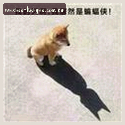 阿杰